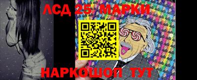 индика Можга