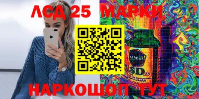 индика Можга