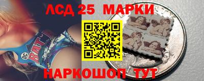 индика Можга