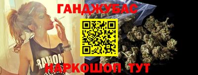 индика Можга
