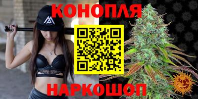Альфа ПВП Можайск