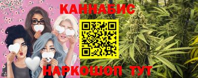 индика Можга