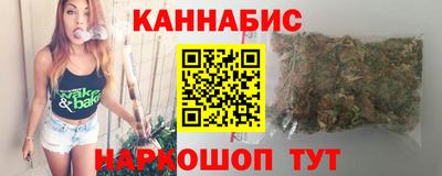 индика Можга