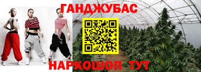 индика Можга