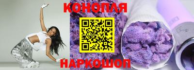индика Можга