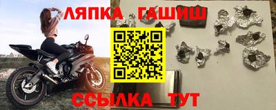 индика Можга
