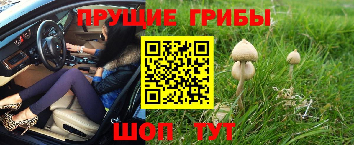 Галлюциногенные грибы Psilocybine cubensis  купить наркотики цена  Строитель  Вход с VPN 